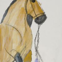 Pferd, 2014, Aquarell, Graphit