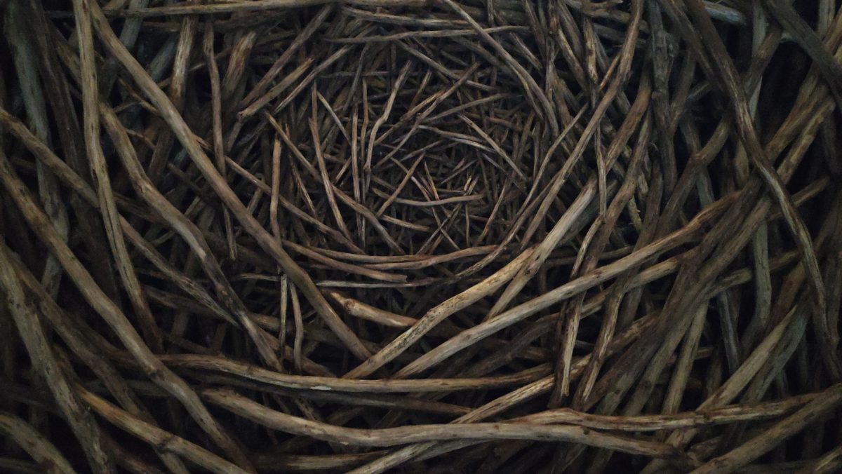 IMG_20220807_120053(1)